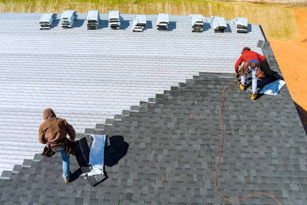 Best Roof Leak Repair  in Emmetsburg, IA
