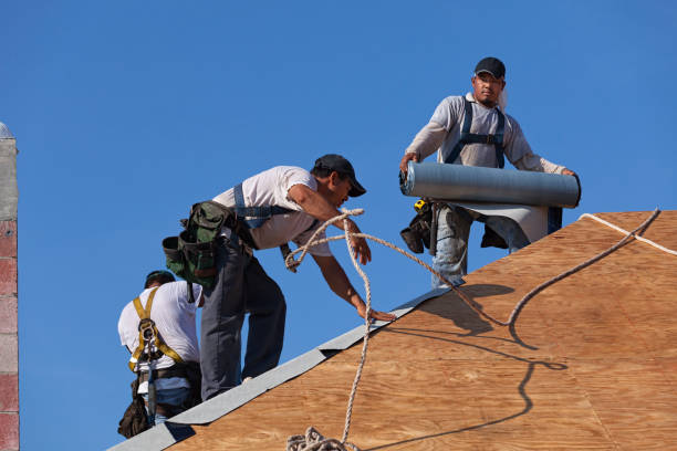 Best Roof Maintenance Services  in Emmetsburg, IA